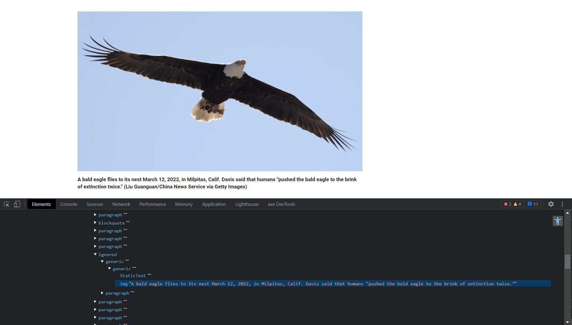 Сайт Fox News, страница со статьёй об орлах. Открыт инструмент разработчика Chrome, видна вкладка с элементами дерева доступности. Выделен элемент с ролью картинки. У картинки есть текстовое описание «Лысый орёл летит к гнезду 12 марта, 2022 в Милпитас, Калиф. Девис говорит, что из-за человечества лысые орлы дважды оказались на грани вымирания. Ли Гуангуан, China News Service через Getty Images.». Описание совпадает с видимой подписью к картинке.